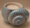 20030608-shell_t.jpg