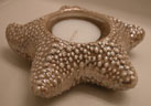 20030608-starfish_t.jpg