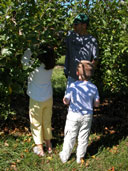 20040925-picking_apples_t.jpg
